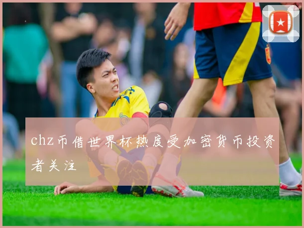 chz币借世界杯热度受加密货币投资者关注