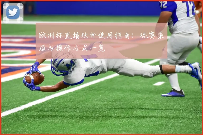 欧洲杯直播软件使用指南:观赛渠道与操作方式一览