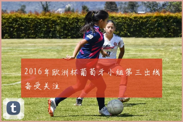 2016年欧洲杯葡萄牙小组第三出线备受关注