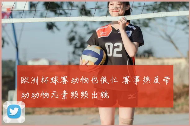 欧洲杯球赛动物也很忙 赛事热度带动动物元素频频出镜