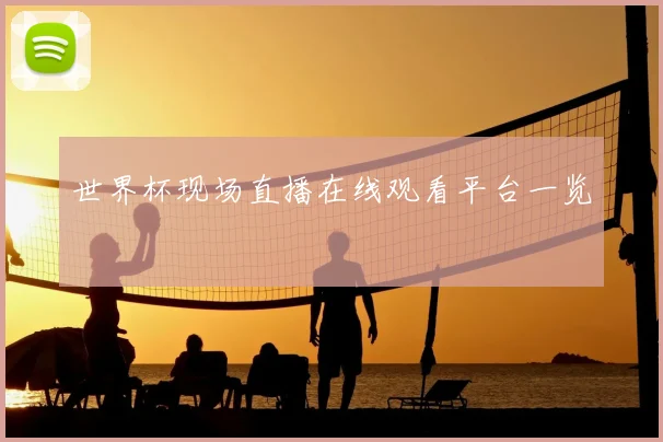 世界杯现场直播在线观看平台一览