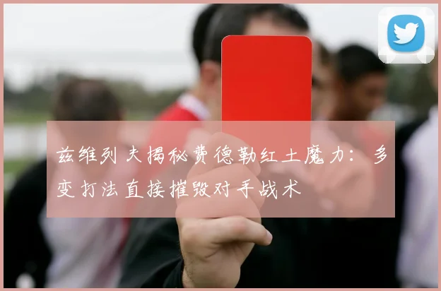 兹维列夫揭秘费德勒红土魔力：多变打法直接摧毁对手战术