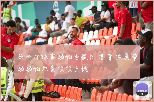 欧洲杯球赛动物也很忙 赛事热度带动动物元素频频出镜