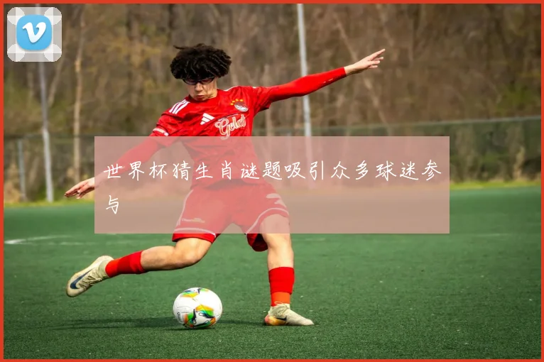 世界杯猜生肖谜题吸引众多球迷参与