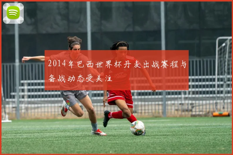 2014年巴西世界杯丹麦出战赛程与备战动态受关注