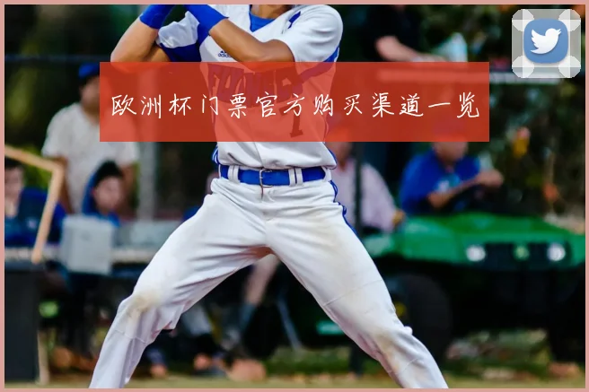 欧洲杯门票官方购买渠道一览